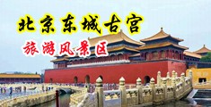 猛操视频中国北京-东城古宫旅游风景区